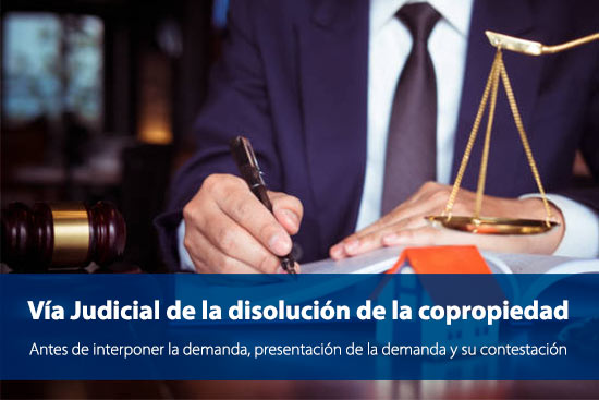 Vía Judicial de la disolución de la copropiedad: antes de la demanda, su interposición y la contestación